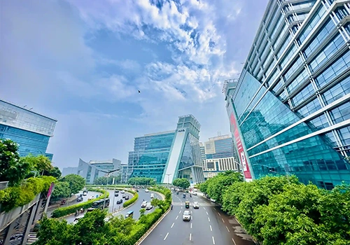 Delhi Office
